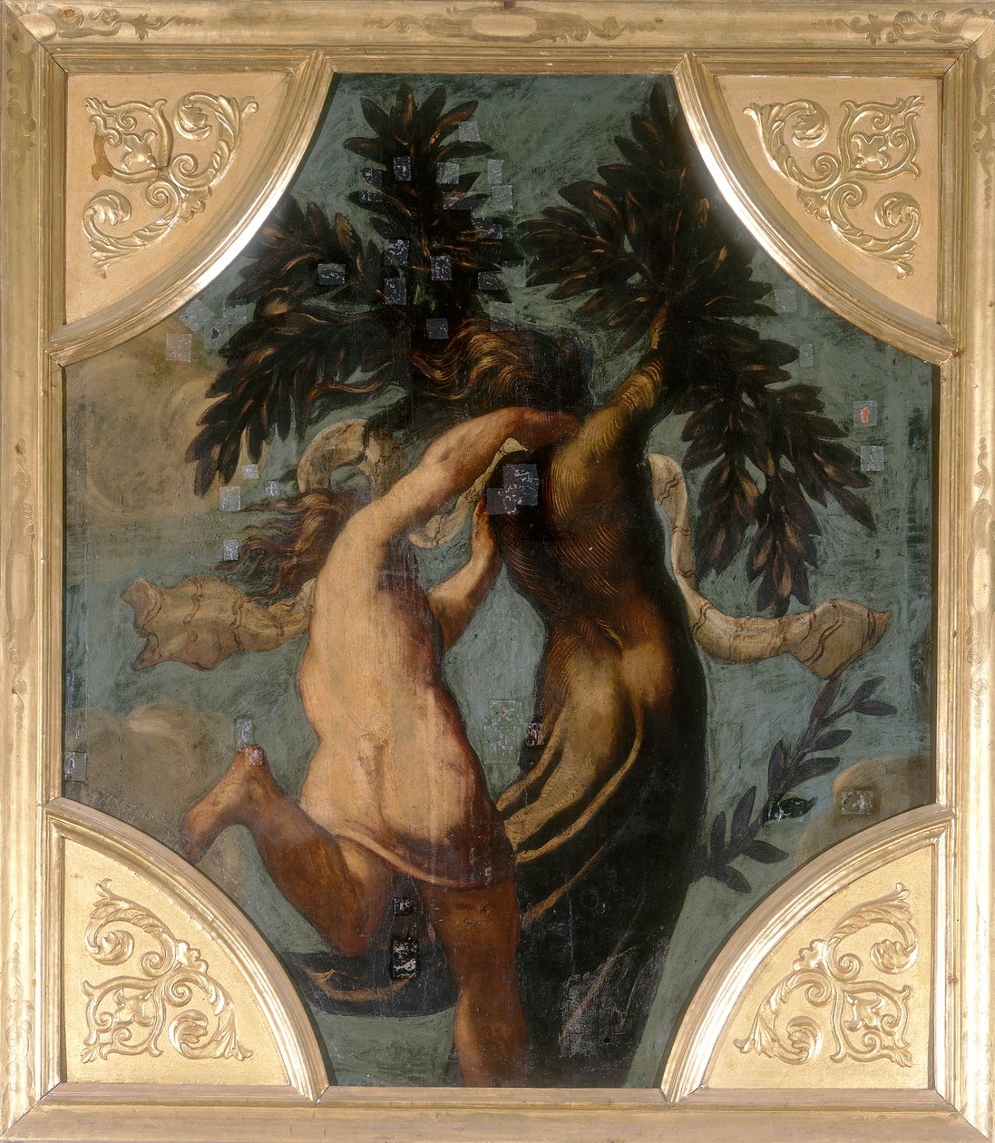 Apolo e Daphne, octógono de Jacopo Robusti Tintoretto