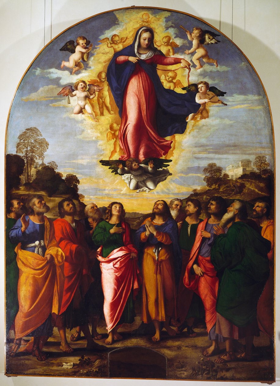 Assunção da Virgem de Jacopo (c.1480 1528) Palma