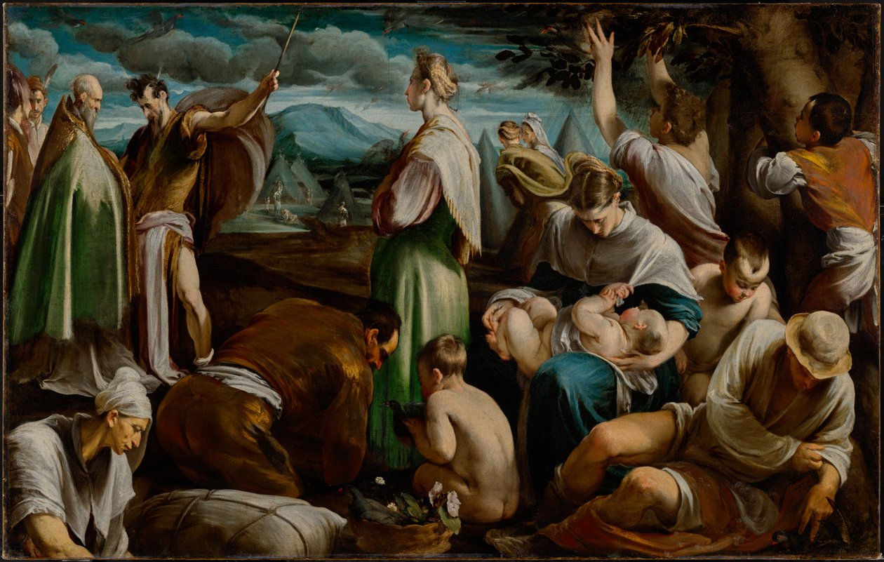 O milagre das codornizes de Jacopo Bassano