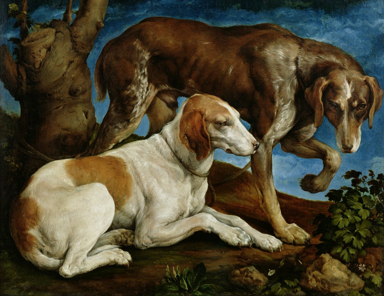 Dois cães de caça amarrados a um toco de árvore, c.1548-50 de Jacopo Bassano