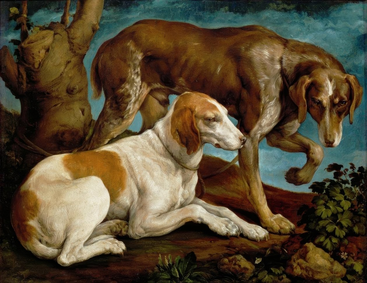 Dois cães de caça, amarrados ao tronco de uma árvore de Jacopo Bassano
