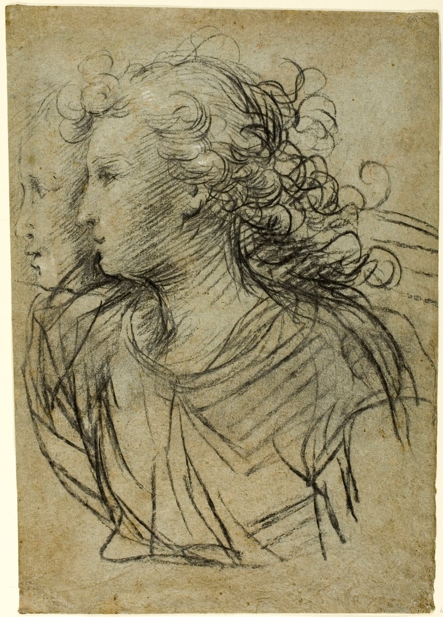 Visão de Meia Comprimento da Mulher de Perfil à Esquerda (reto); Visão de meio comprimento da figura em perfil de três quartos (verso) de Jacopo Confortini