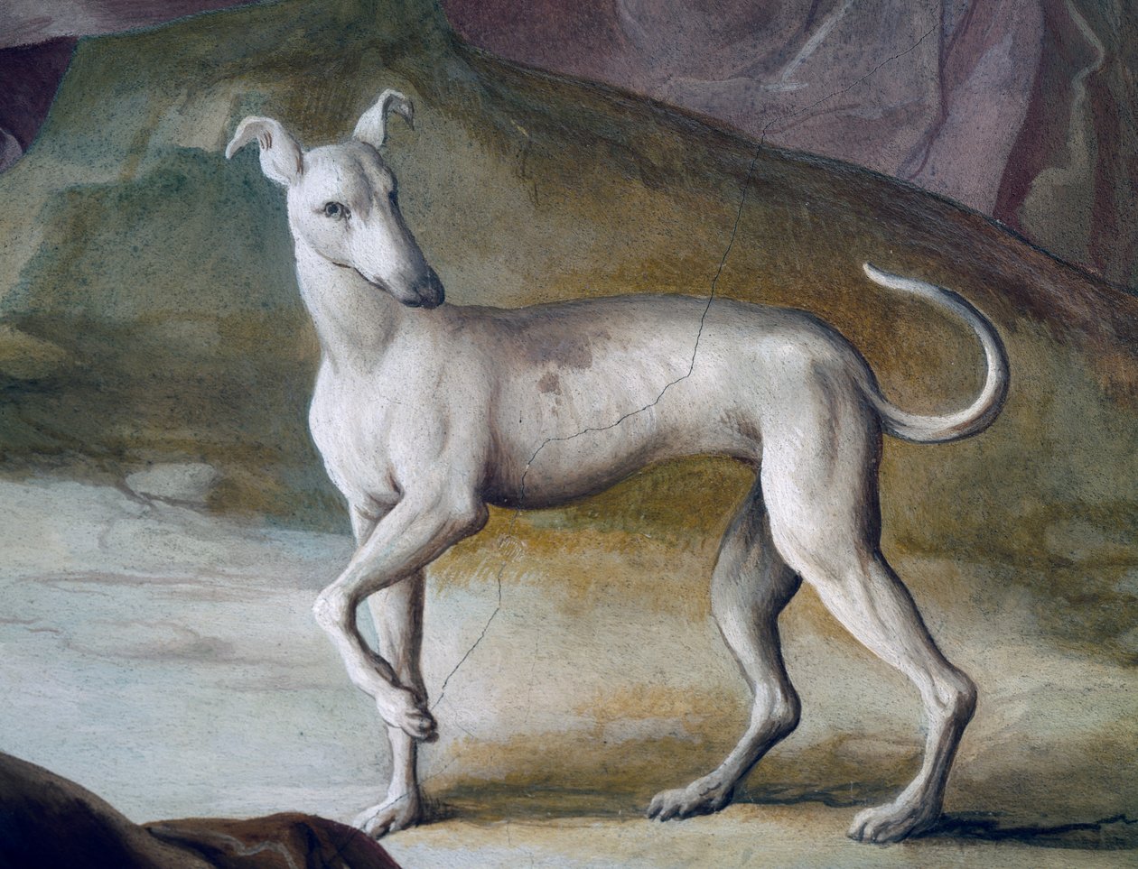 Cão, detalhe do fresco de Jacopo Guarana (1720-1808), hall central de Villa Contarini, Valnogaredo, Veneto, Itália de Jacopo Guarana