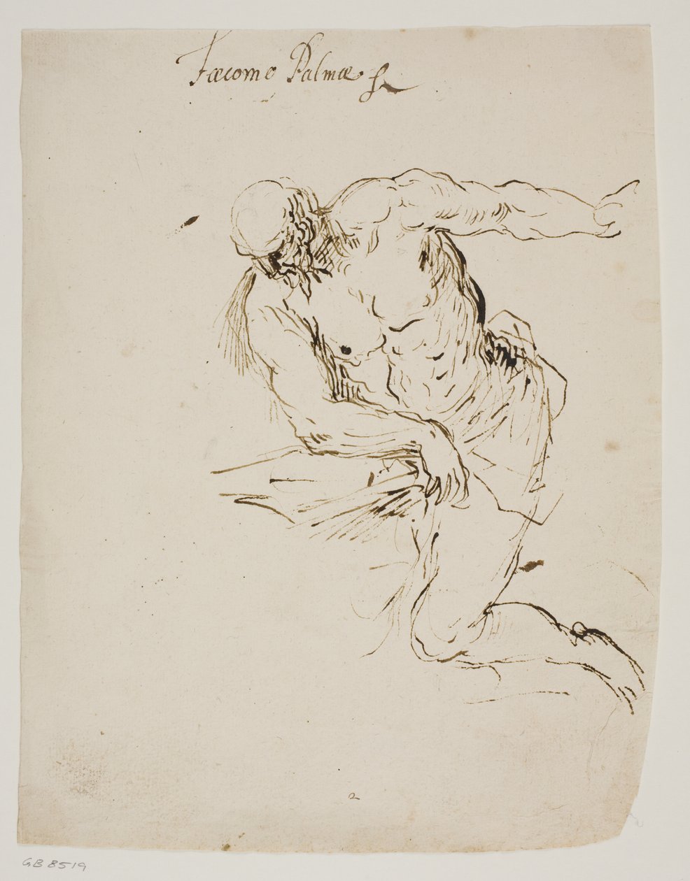 Ajoelhando São Jerônimo lendo de Jacopo Palma