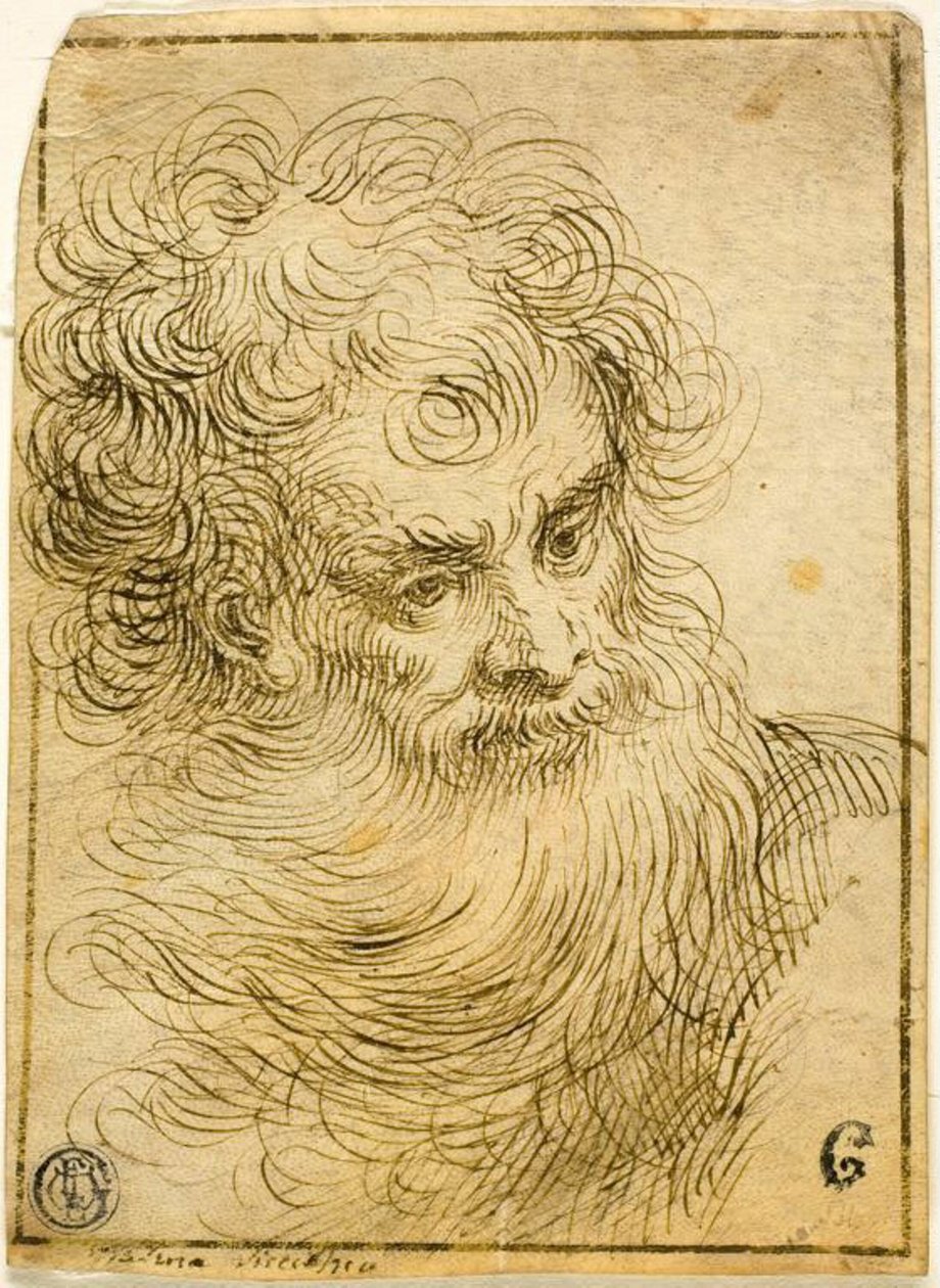 Cabeça de Velho Barbudo (reto); Esboço Decorativo de Flores e Folhas (verso) de Jacopo Palma il Giovane