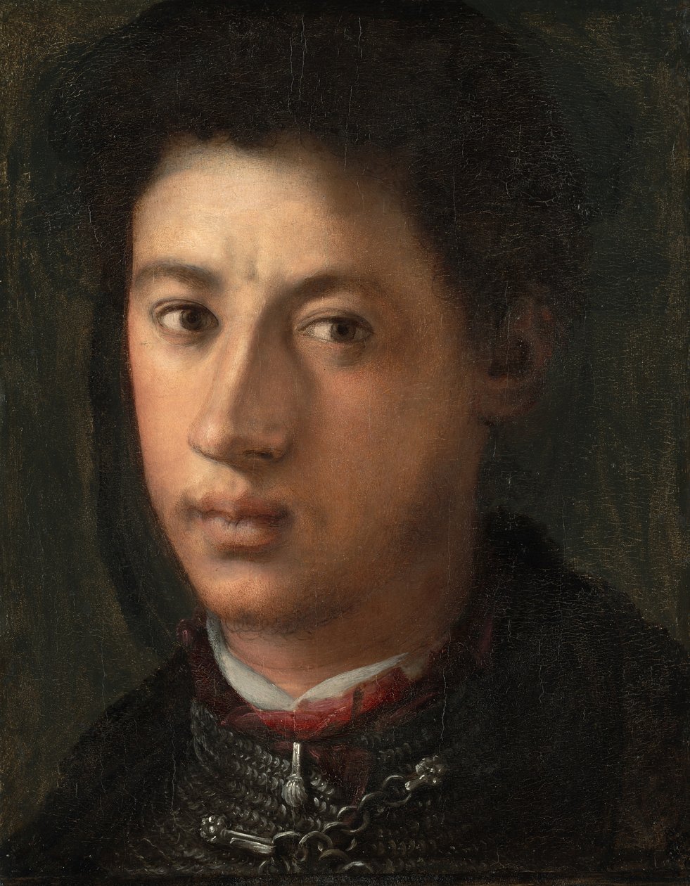 Alessandro de &39;Medici de Jacopo Pontormo