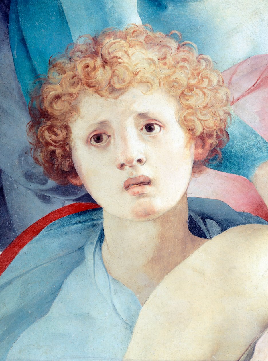 Cara de jovem, detalhe de O Depósito, de Jacopo da Pontormo (1494-1557) de Jacopo Pontormo
