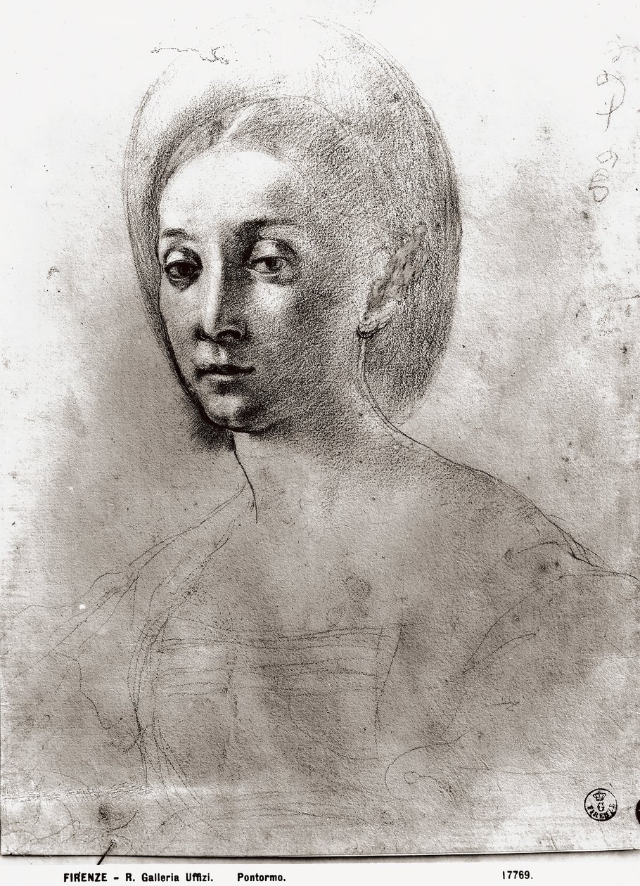 Cabeça de uma mulher (giz no papel) de Jacopo Pontormo