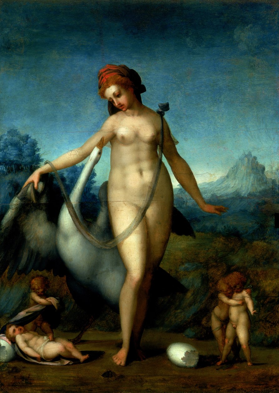Leda e o cisne, c.1512-13 (painel) de Jacopo Pontormo