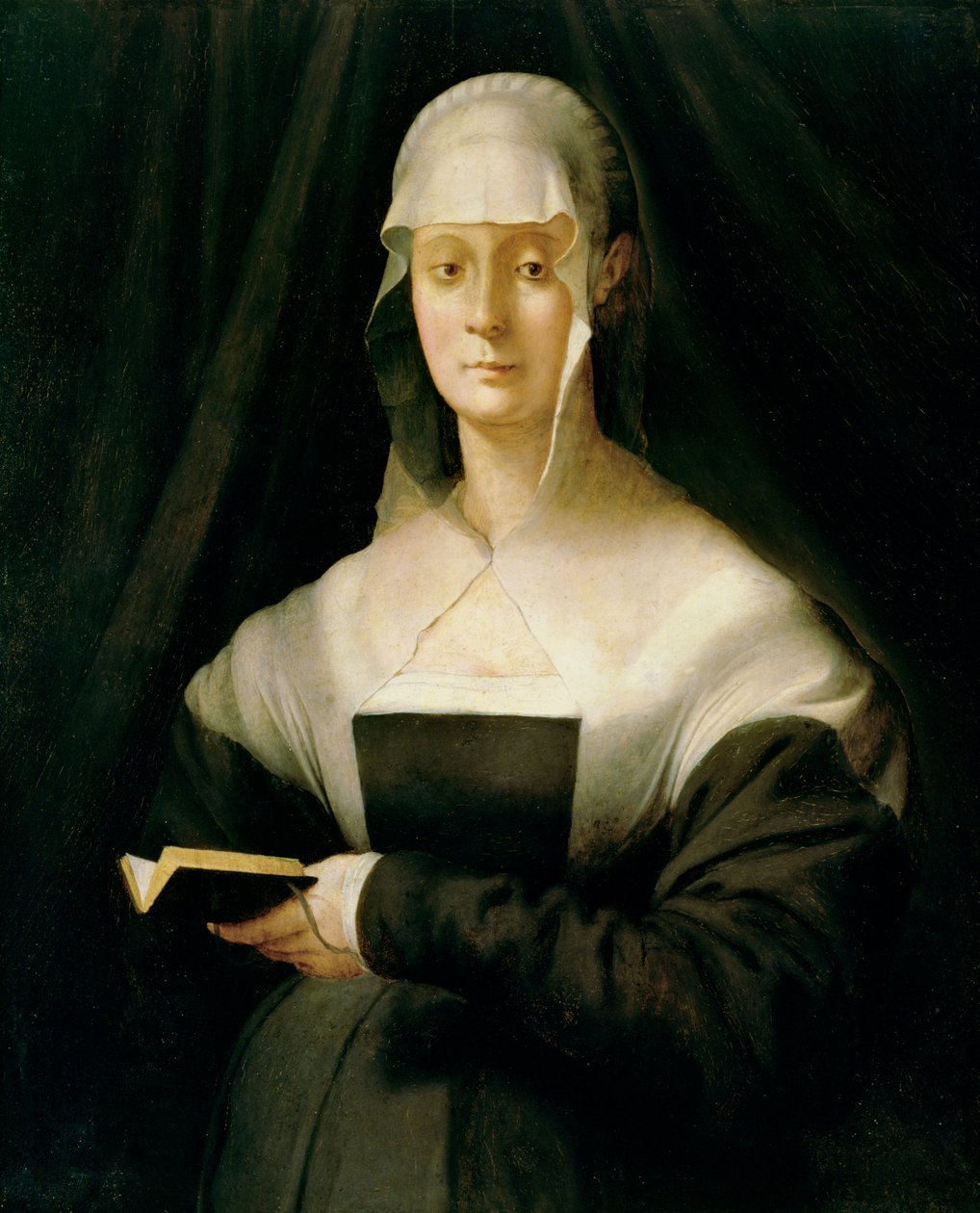 Retrato de Maria Salviati, 1543 de Jacopo Pontormo