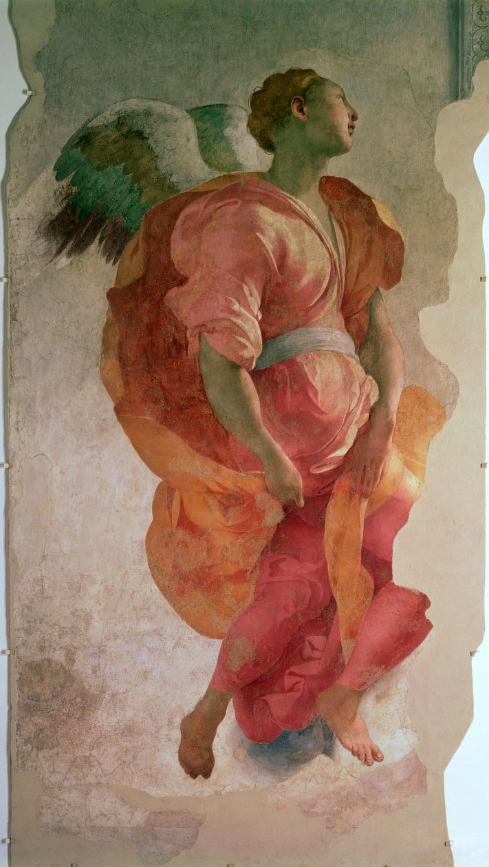 A Anunciação, detalhe de um anjo, detalhe afresco c.1527 de 57520, ver também 94965 de Jacopo Pontormo
