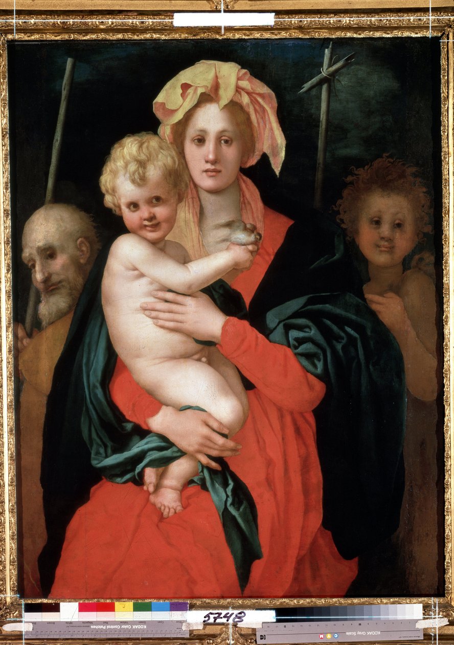 Virgem e Menino com São José e São João Batista (Madonna e Menino com São José e João Batista). Cristo segura um pássaro em sua mão. Pintura de Jacopo (Iacopo) Carrucci dit il Pontormo (Pontorme) (1494-1557), cerca de 1520. Flora artística de Jacopo Pontormo