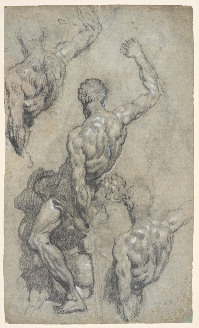 Estudos de "Sansão e os Filisteus" de Miguel Ângelo, c.1575-85 (giz, carvão, guache, papel) de Jacopo Robusti (workshop of) Tintoretto