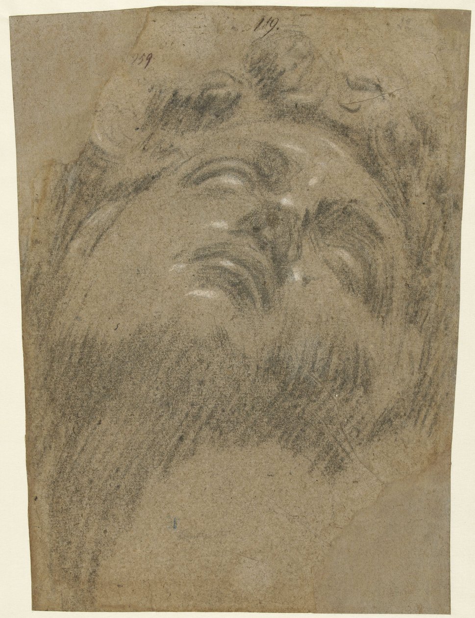 Giuliano dei Medici após Michelangelo, c.1550 (giz no papel) de Jacopo Robusti Tintoretto