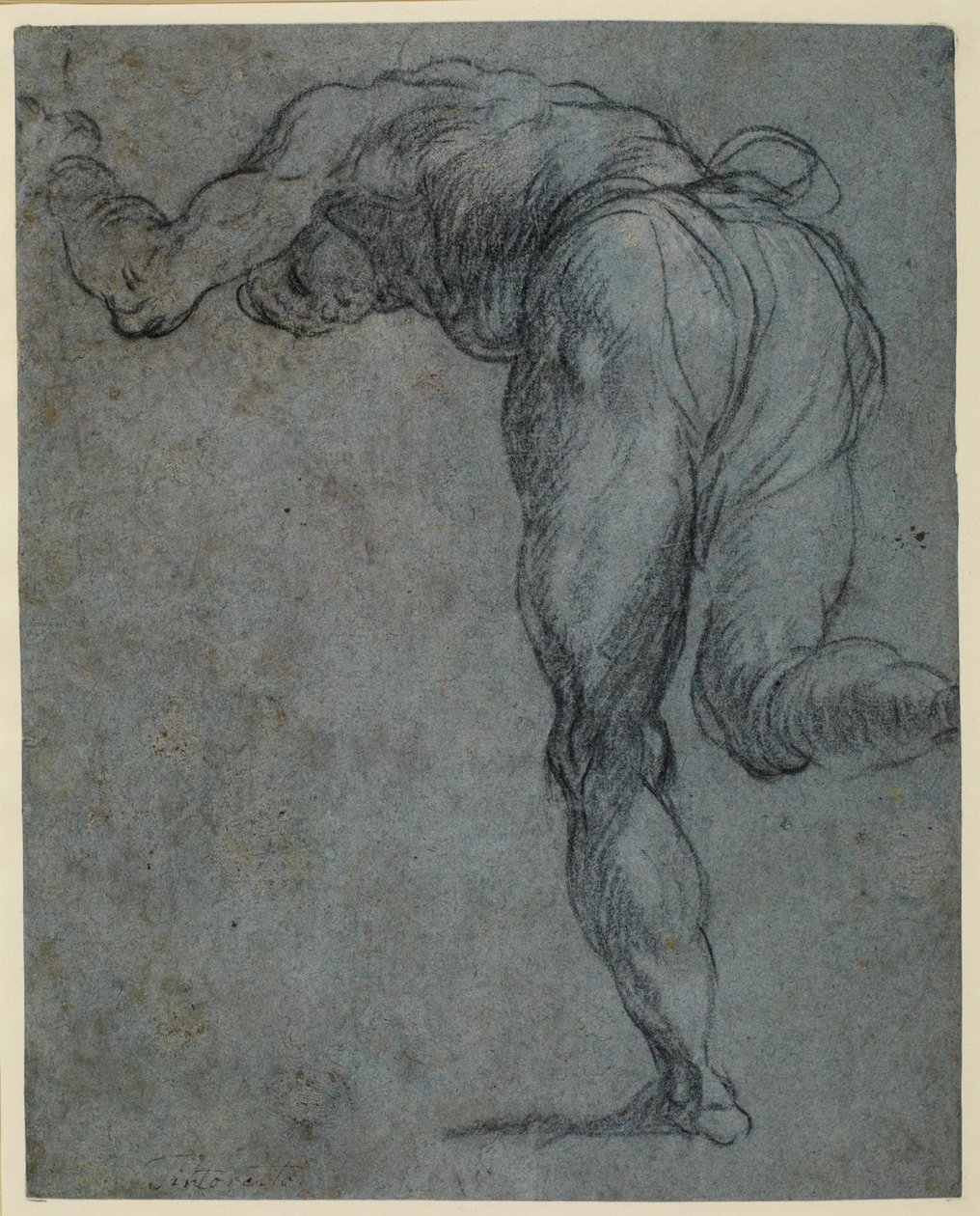 Estudo de uma figura masculina que se inclina para a frente, 1575-c.1585 de Jacopo Robusti Tintoretto