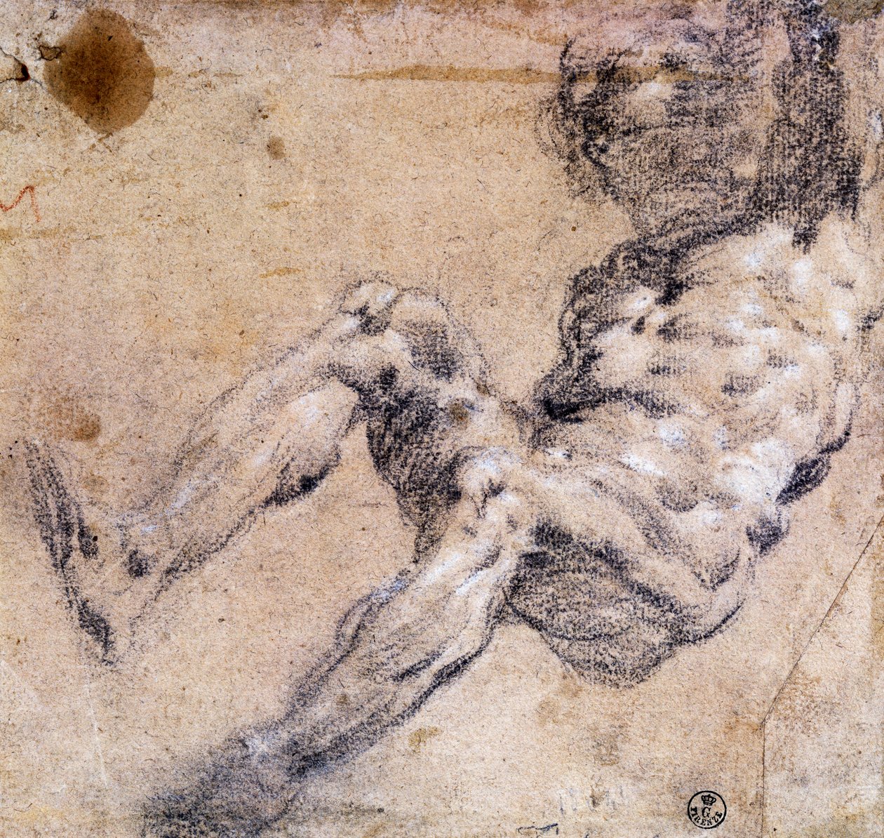 Estudo do nu masculino de Jacopo Robusti Tintoretto