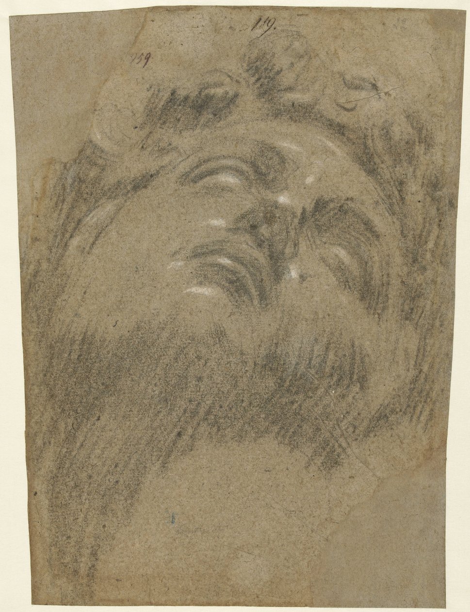 Hoofd van Giuliano dei Medici de Jacopo Tintoretto