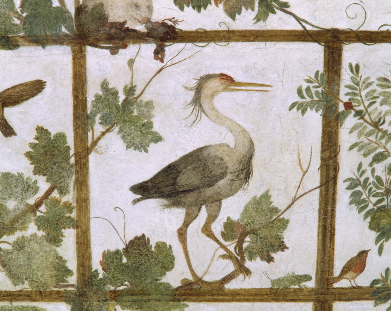 Íbis, de um fresco de um aviário na Villa Medici, c.1576-77 de Jacopo Zucchi