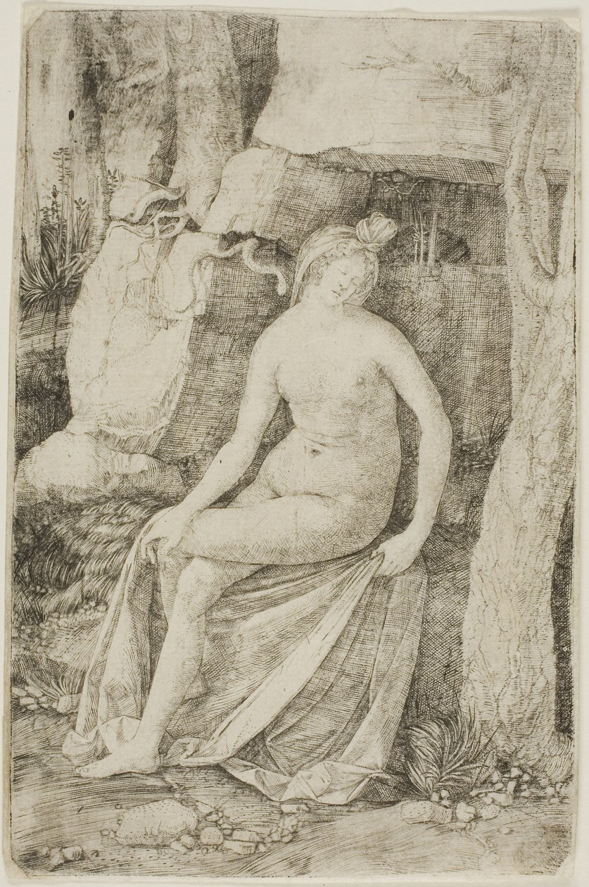 Cleópatra de Jacopo de
