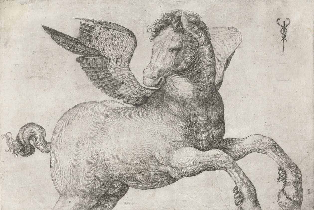Pégaso, 1509-16 de Jacopo de Barbari