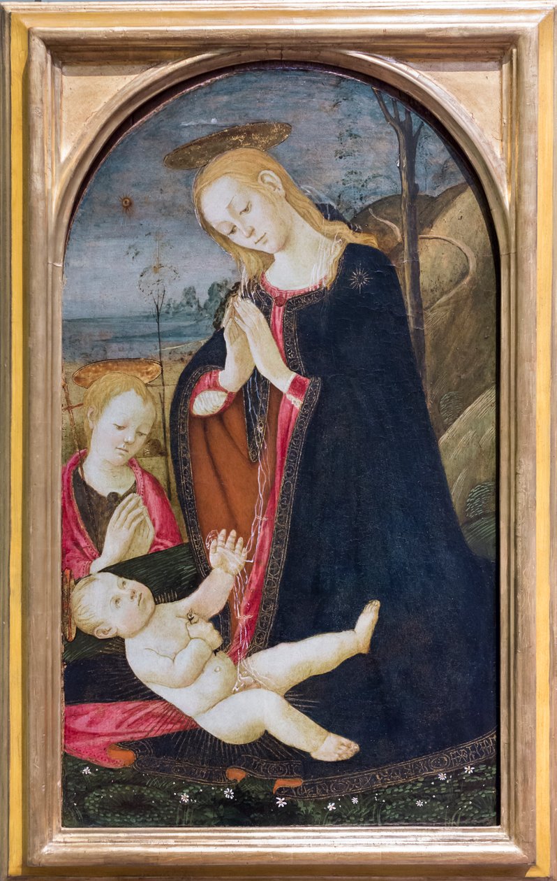 Adoração do Cristo com o jovem São João Baptista de Jacopo del Sellaio
