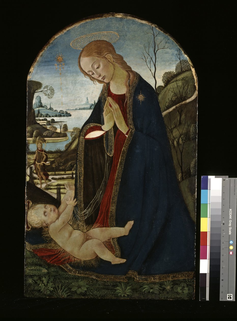 Madonna Adorando a Criança Cristo (óleo sobre madeira) de Jacopo del Sellaio