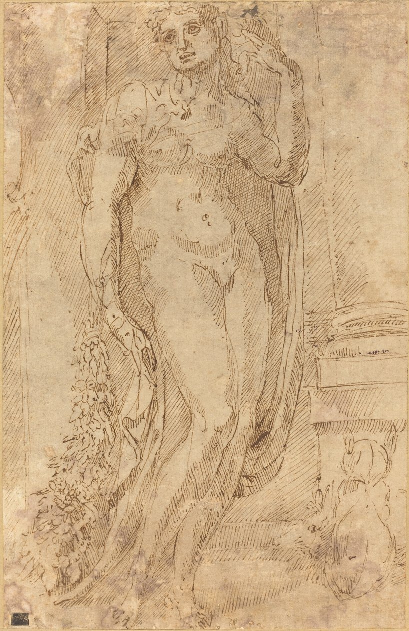 Figura alegórica com um gato e um porco de Jacopo di Giovanni