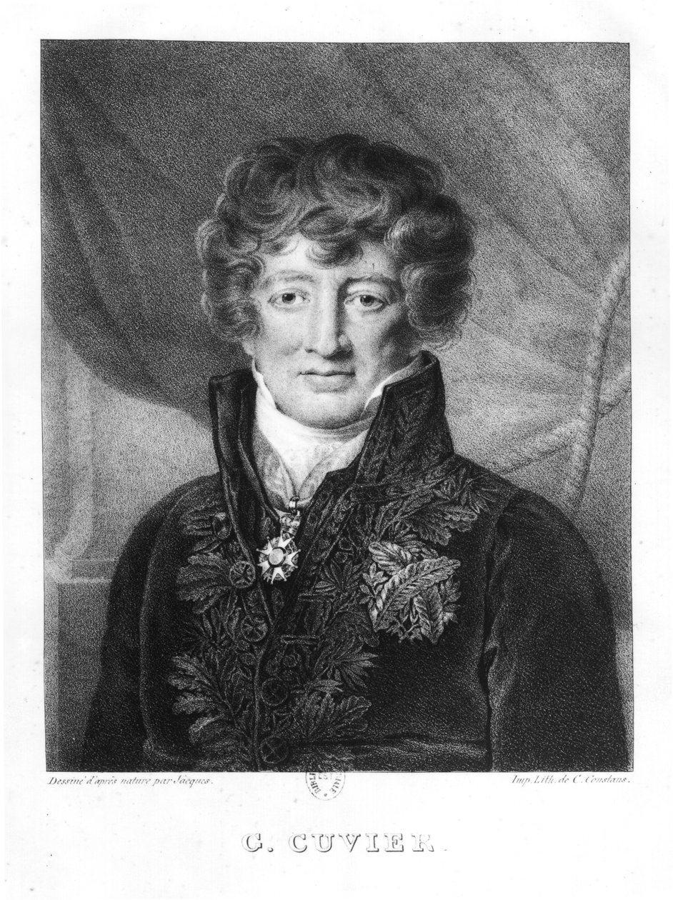 Retrato de Georges Cuvier (1769-1832) de Jacques