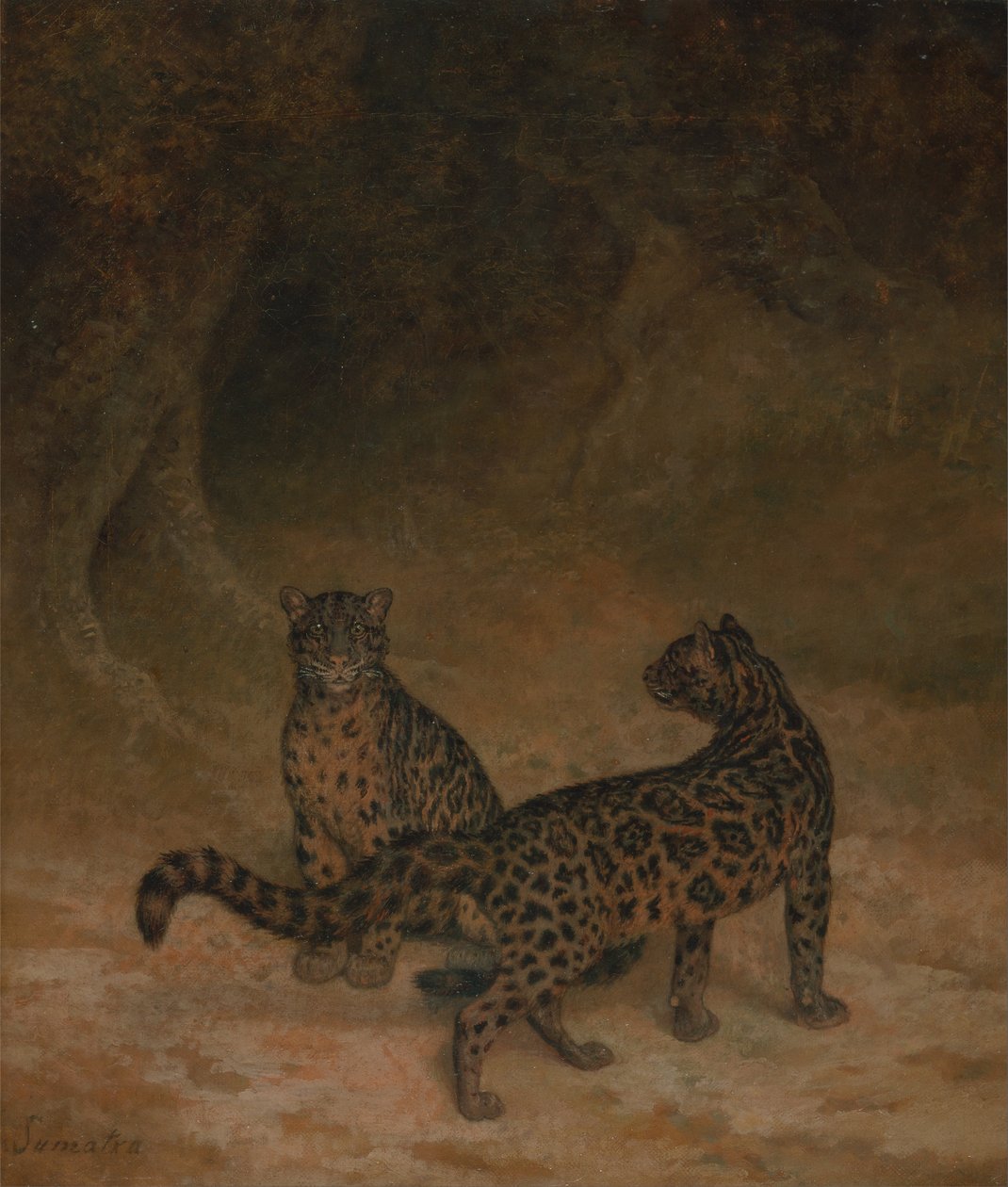 Leopardos nublados de Jacques-Laurent Agasse