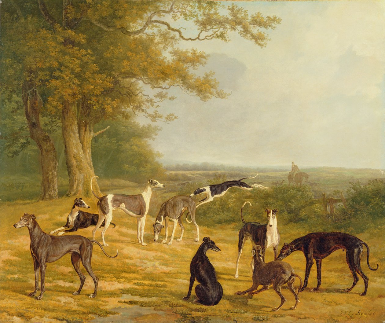 Nove galgos em uma paisagem de Jacques Laurent Agasse