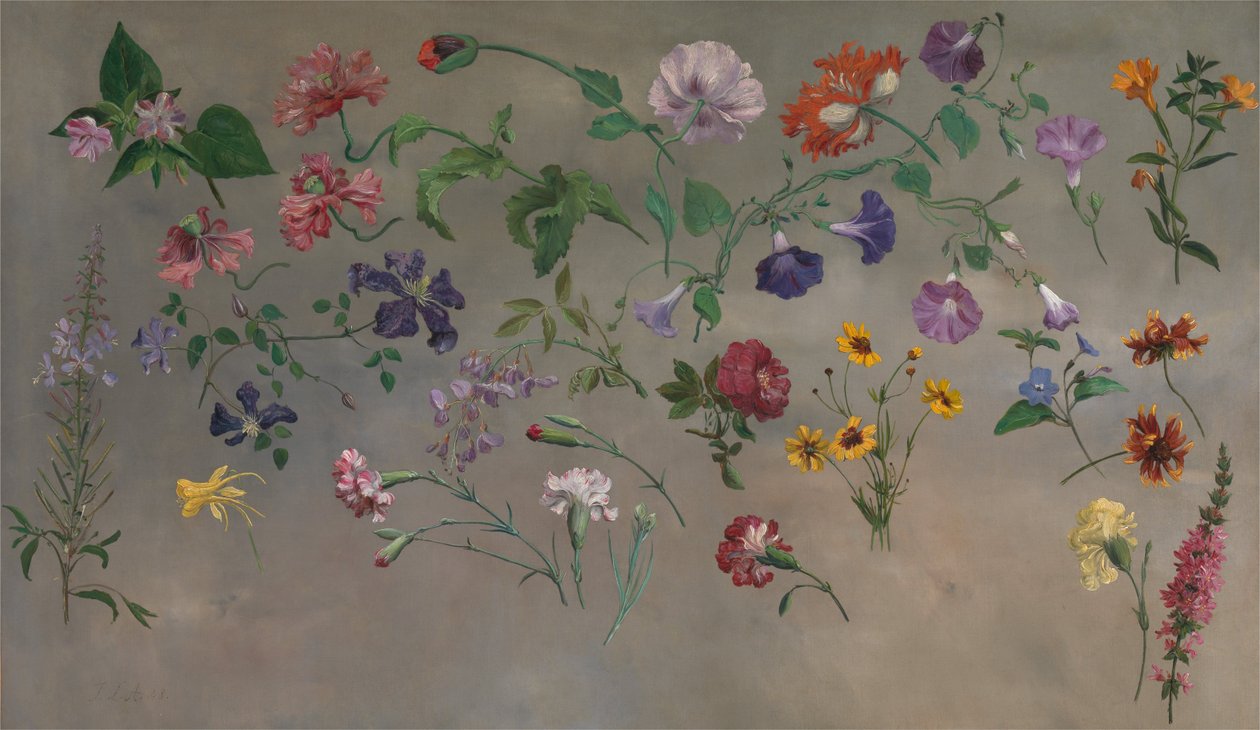 Estudos de Flores de Jacques-Laurent Agasse