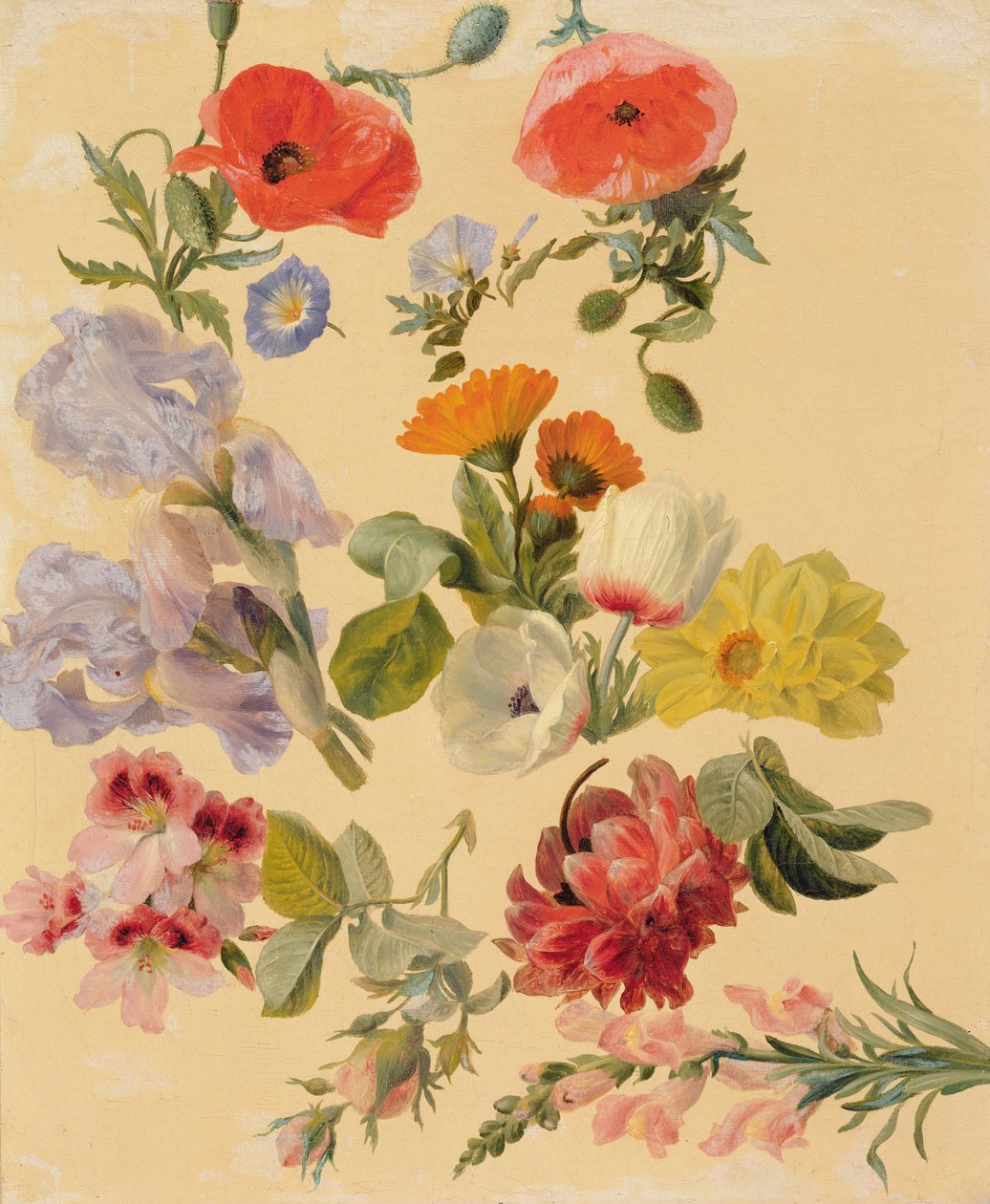 Estudos de flores de verão de Jacques Laurent Agasse