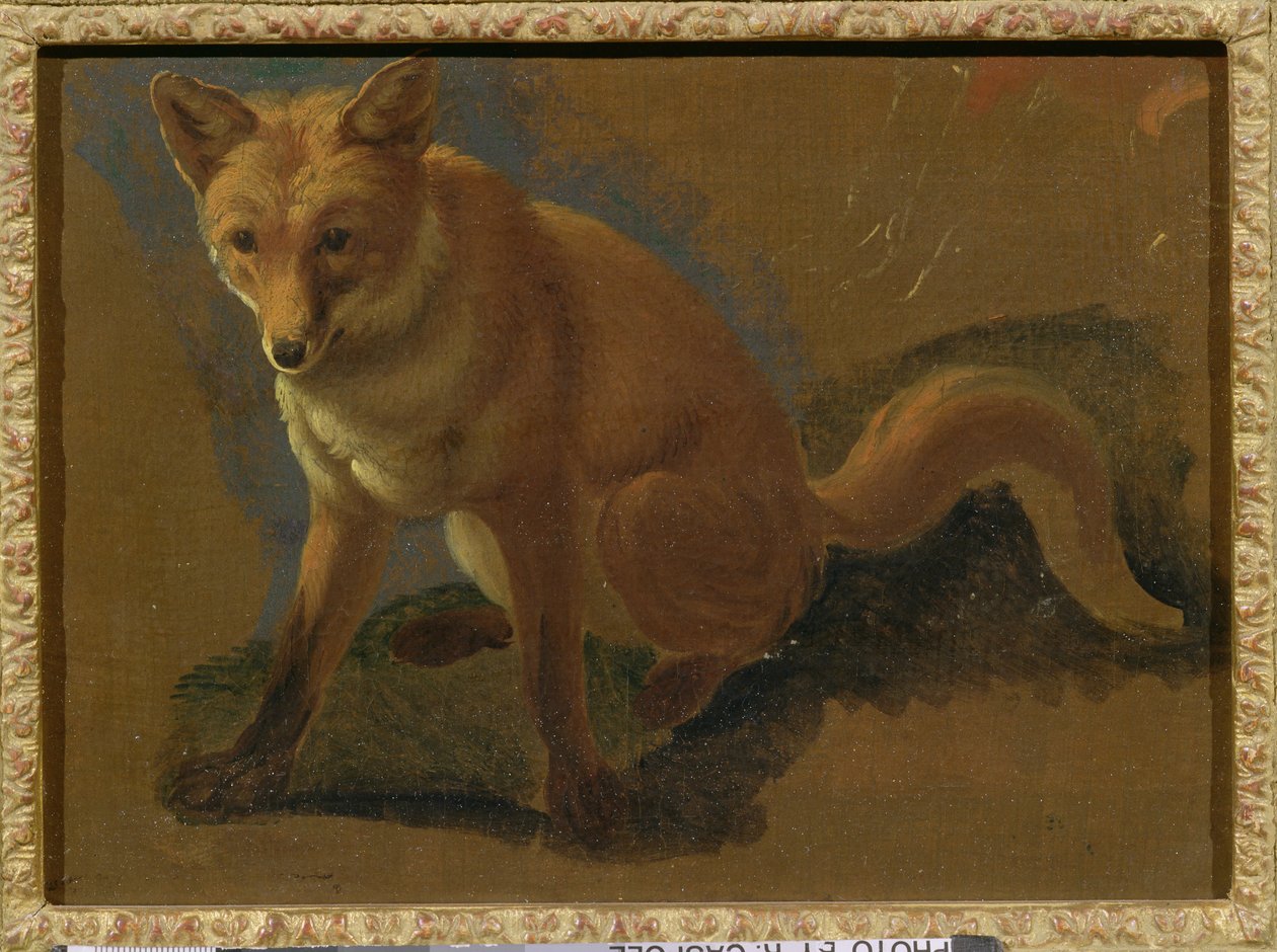 Estudo de uma raposa de Jacques Laurent Agasse