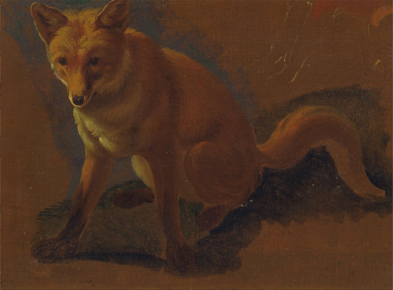 Estudo de uma raposa de Jacques Laurent Agasse