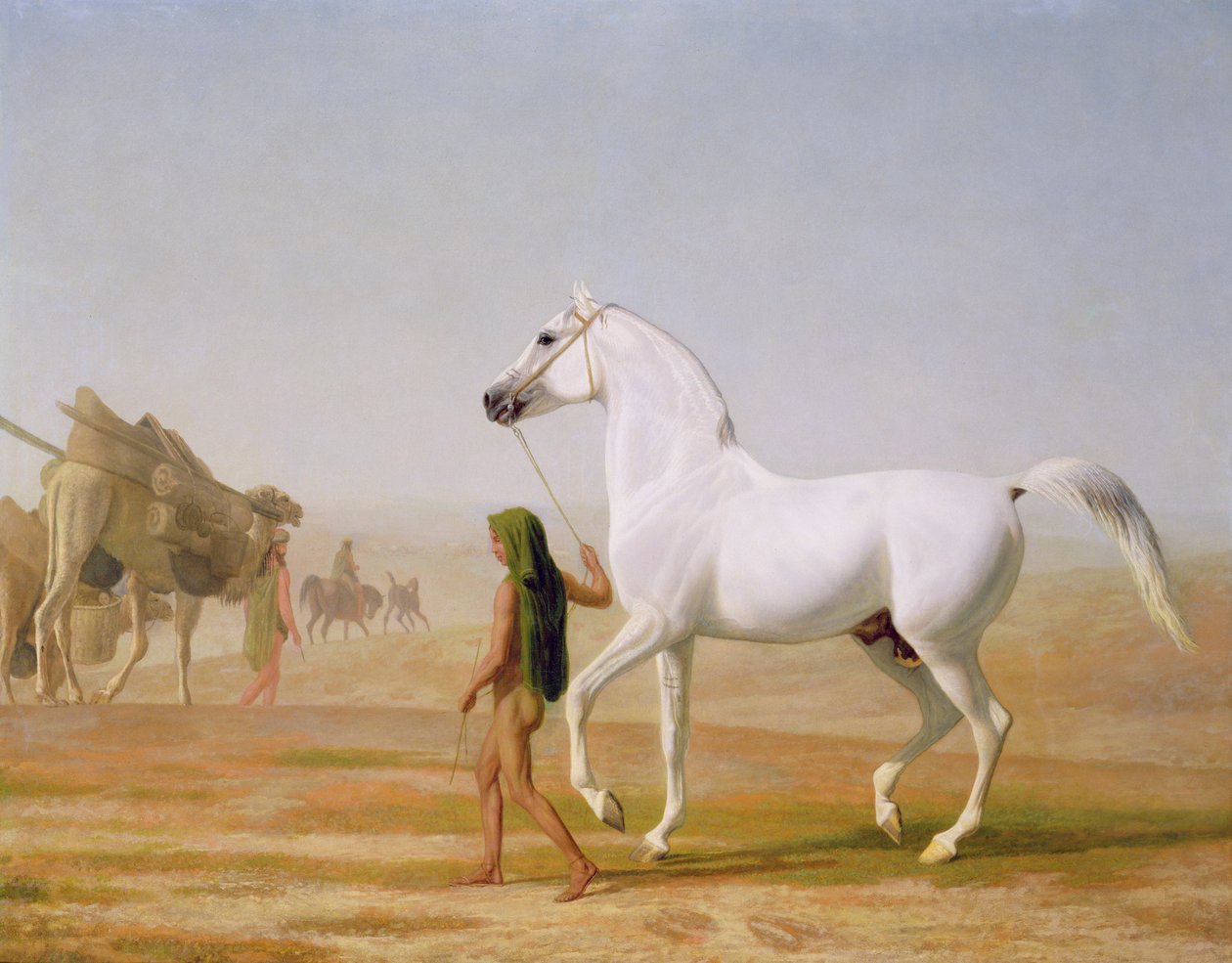 O Wellesley Gray Arabian liderou o deserto, c.1810 de Jacques Laurent Agasse
