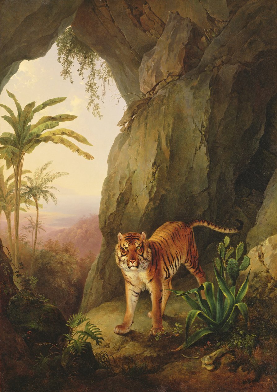 Tigre em uma caverna, c.1814 de Jacques Laurent Agasse