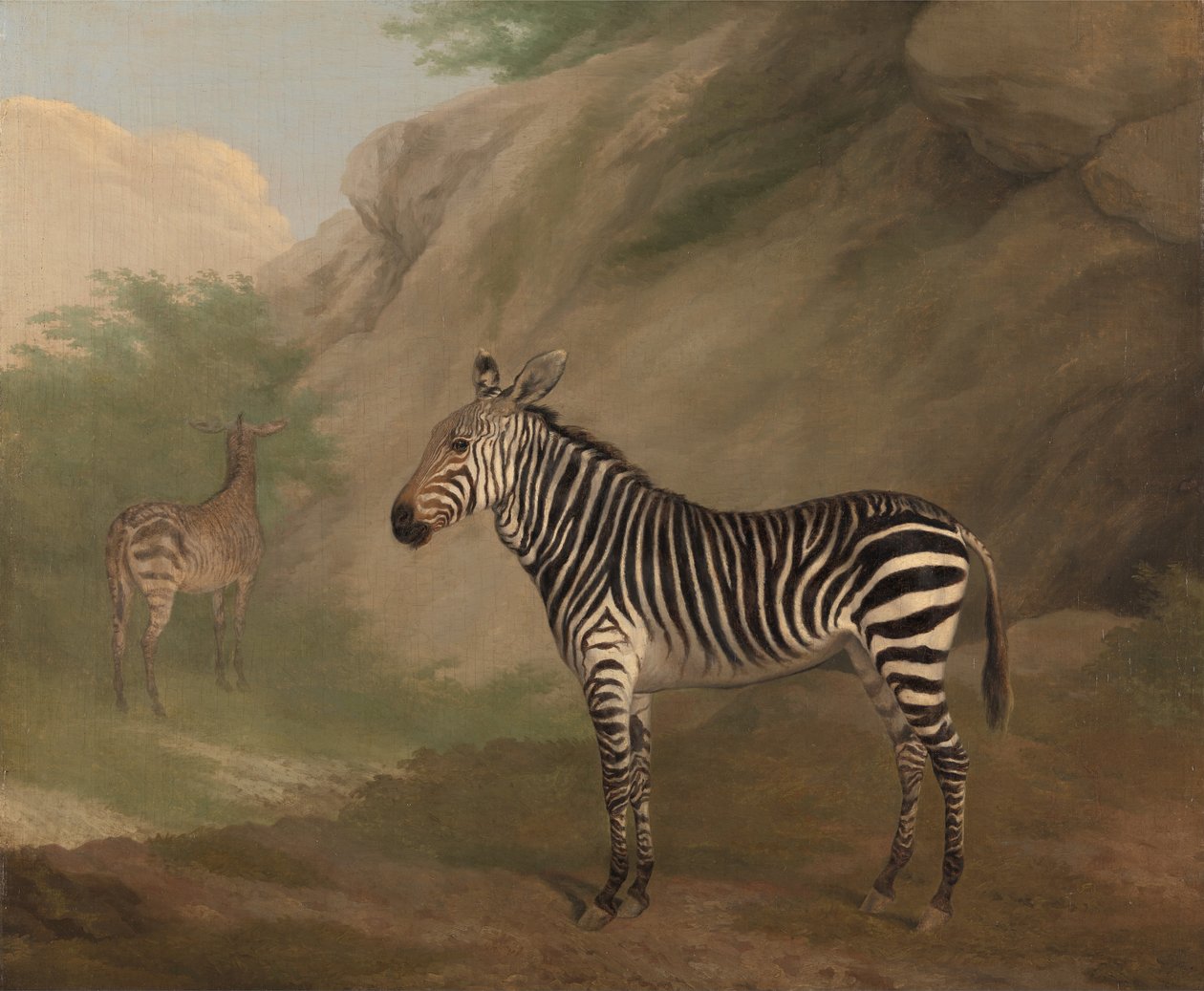 Zebra de Jacques Laurent Agasse