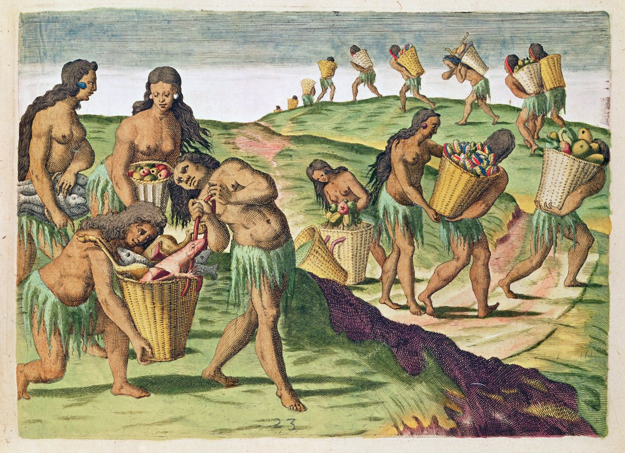 Coleta de alimentos para o armazém comunal, de &39;Brevis Narratio ..&39;, gravado por Theodore de Bry (1538-98) publicado em Frankfurt, 1591 de Jacques Le Moyne