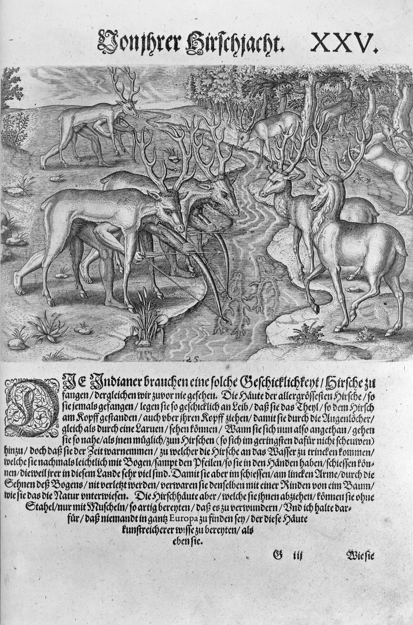 Índios da Flórida caçando veados disfarçados em pelúcias, de "Americae Decima Pars" gravada por Theodor de Bry (1528-98) 1591 de Jacques Le Moyne