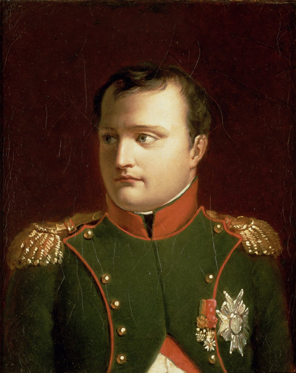 Napoleão Bonaparte (1769-1821) (óleo) de Jacques Louis David