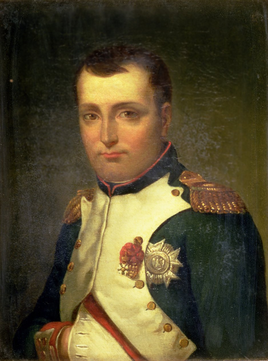 Napoleão Bonaparte (1769-1821) de Jacques Louis David