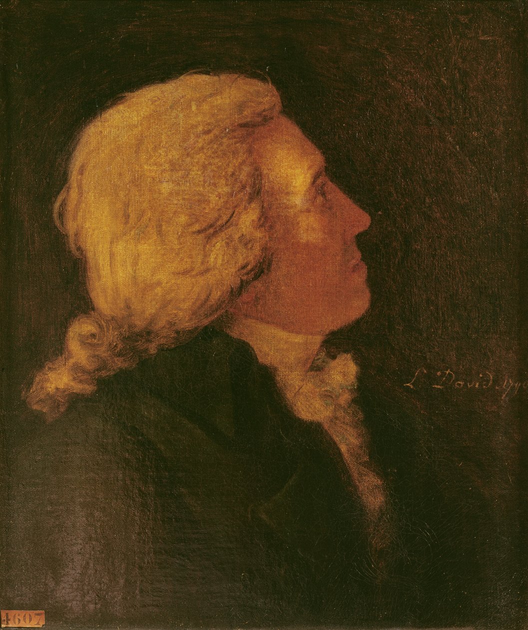 Retrato de Bernard Barere de Vieuzac (1755-1841) 1790 de Jacques Louis David