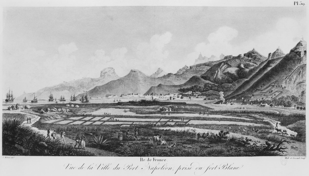 Ilha, de, frança, (Mauritius), vista, de, port-napoleon, (bw, engraving) de Jacques Milbert