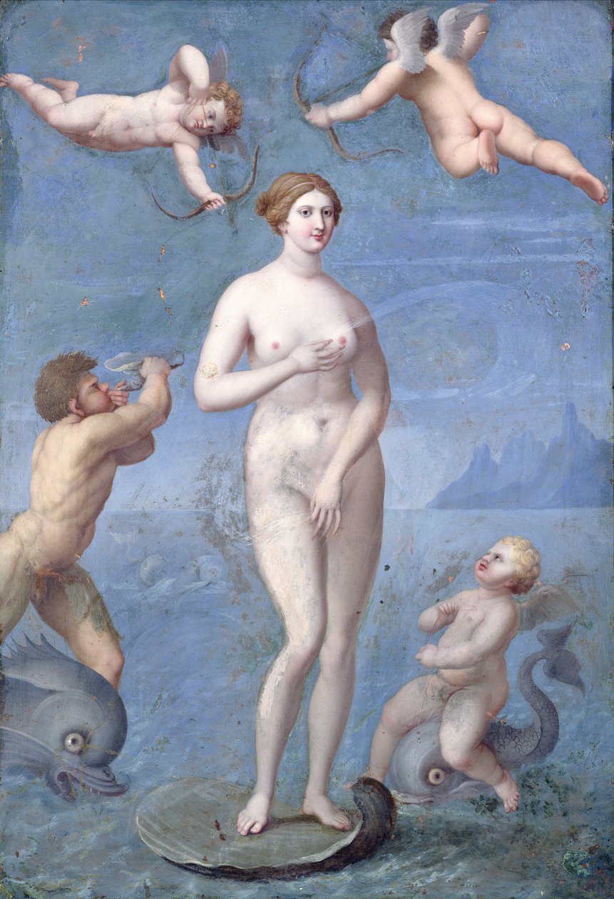 Vênus, 1640 (óleo e têmpera sobre cobre) de Jacques Stella