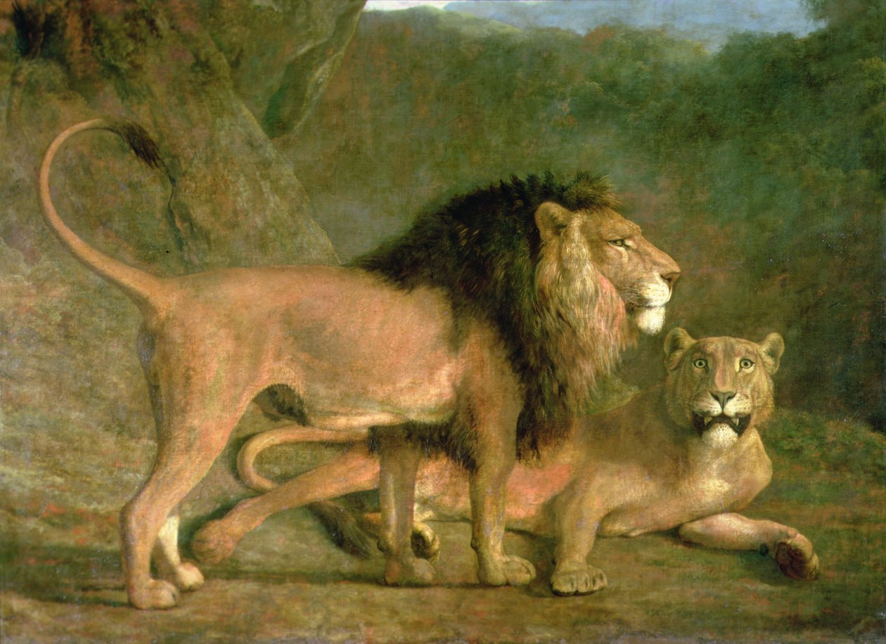 Um Leão e uma Leoa num Vale Rochoso (óleo sobre tela) de Jacques Laurent Agasse