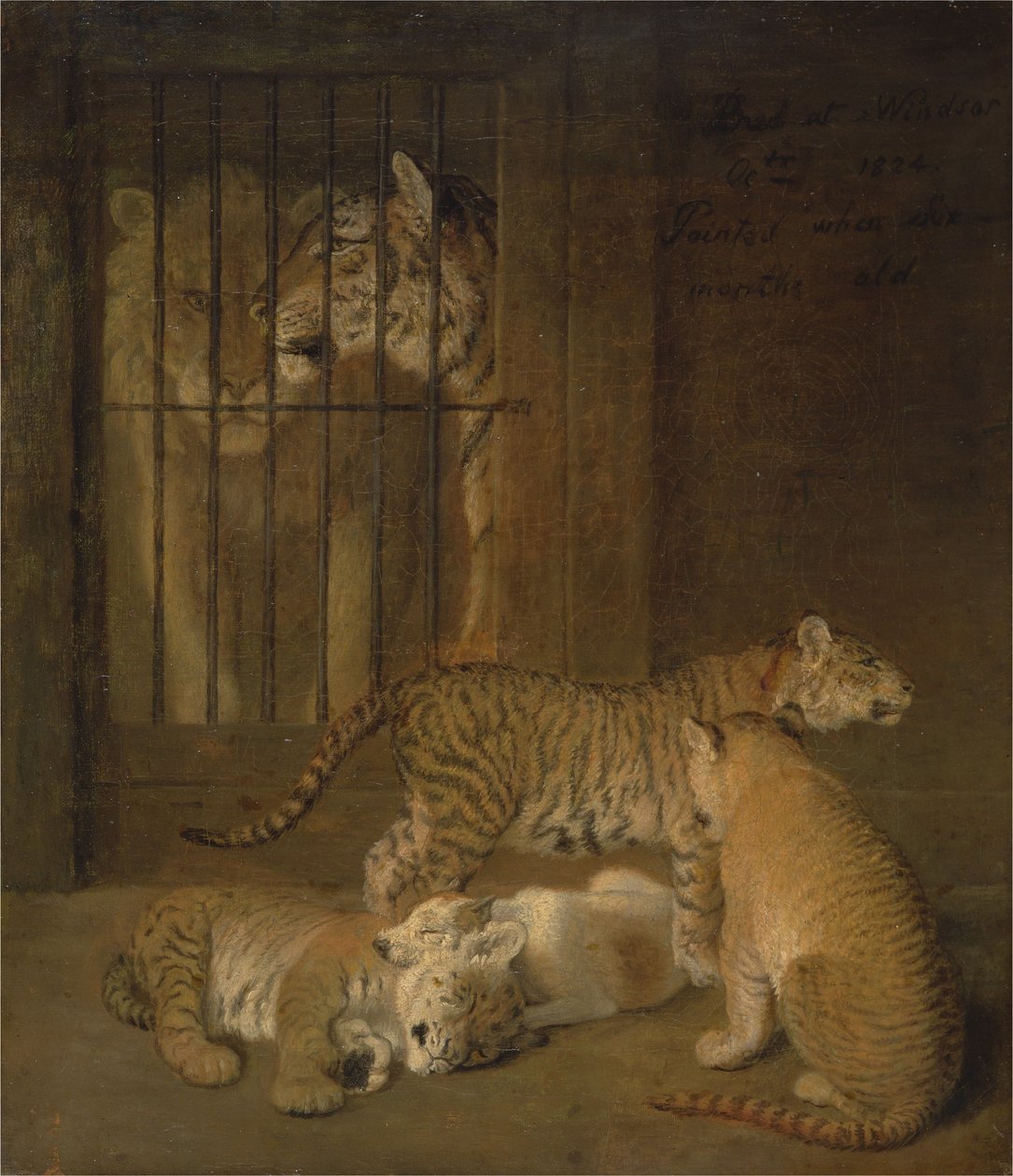 Grupo de Whelps Criados entre um Leão e uma Tigresa de Jacques-Laurent Agasse