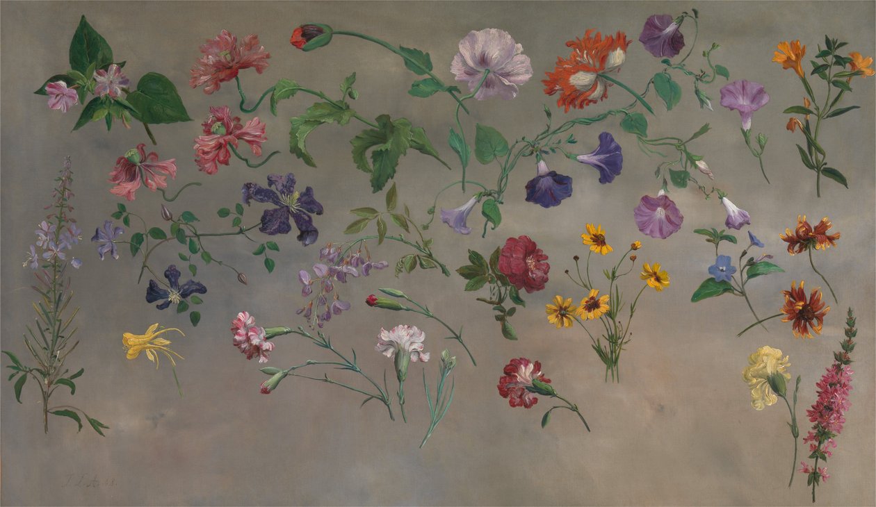 Studies of Flowers [1985, Cormack, YCBA Catálogo conciso] de Jacques-Laurent Agasse