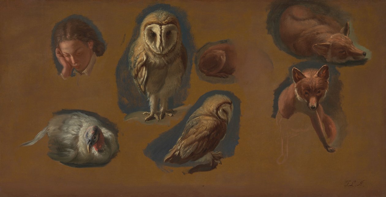 Estudos de uma Raposa, uma Coruja do Celeiro, um Peahen, e a Cabeça de um Jovem de Jacques-Laurent Agasse