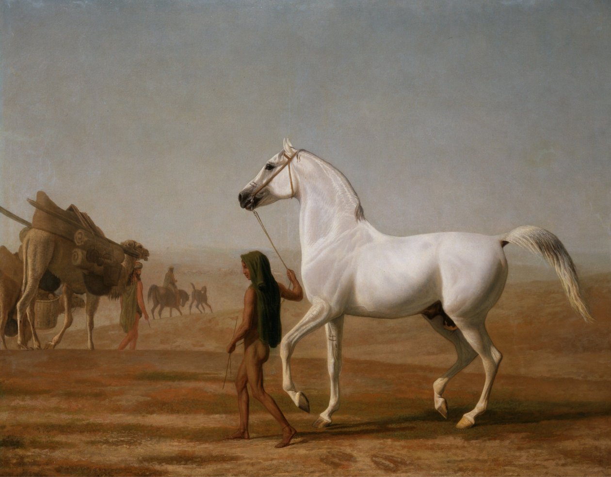 O Arábico Wellesley Grey Led através do Deserto de Jacques-Laurent Agasse
