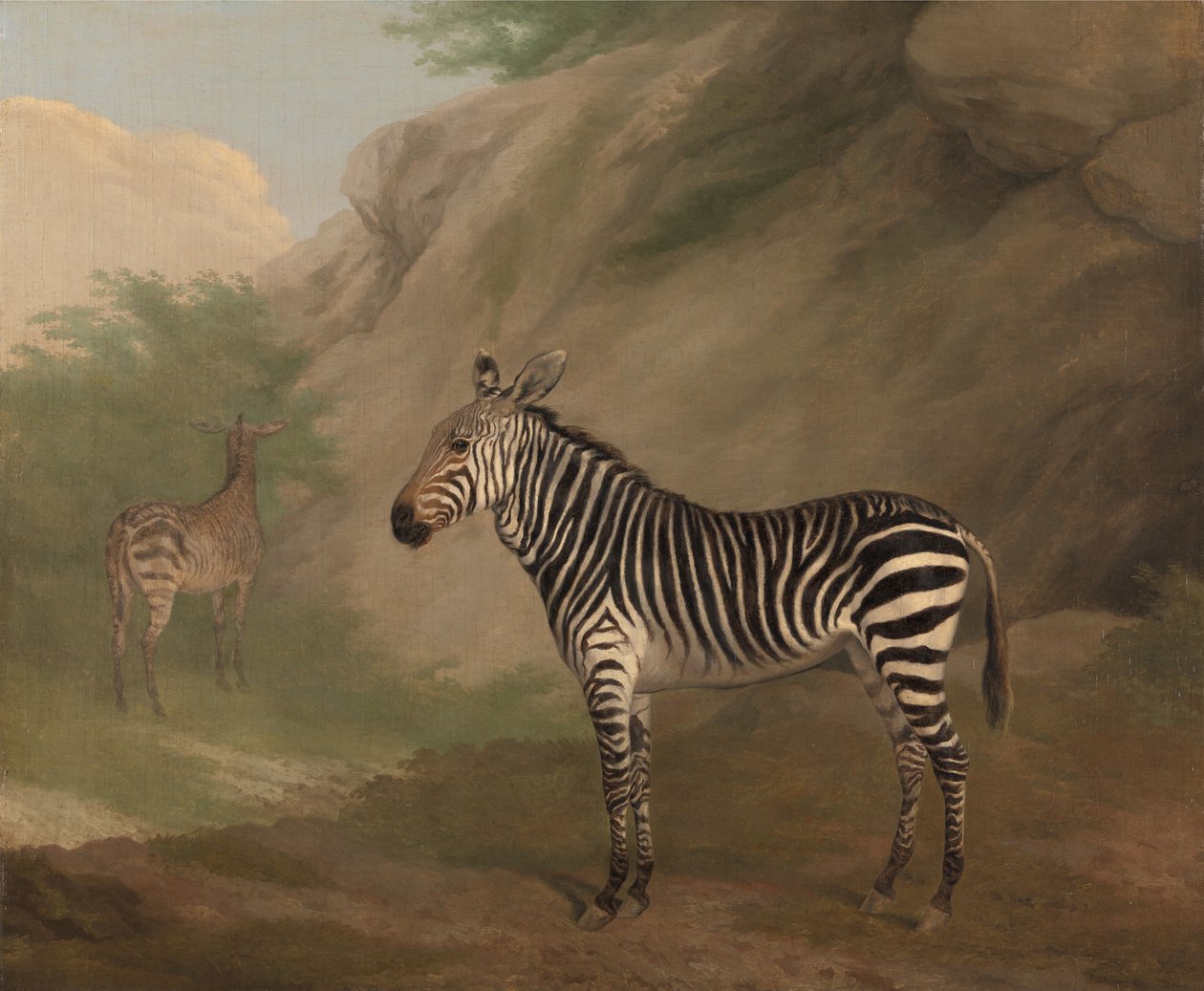 Zebra de Jacques-Laurent Agasse